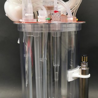 2022 11 23 3 Liter Incyte