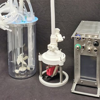 P SUB + Thalia +Clohto